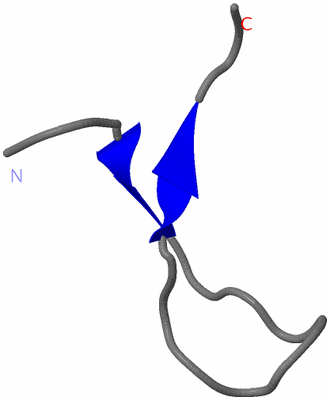 Image NMR Structure - model 1