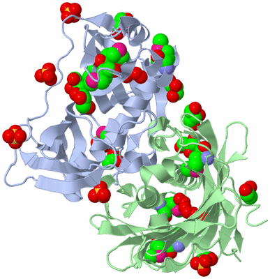 Image Biological Unit 1