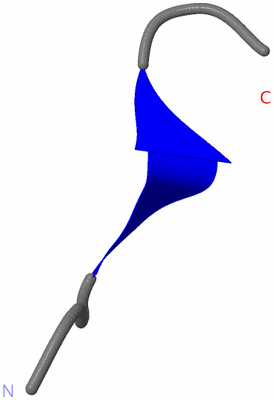 Image NMR Structure - model 1