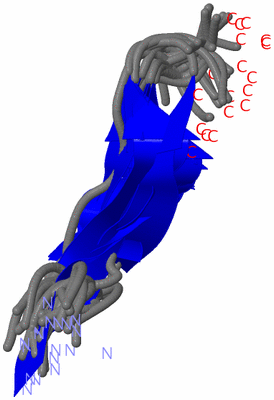 Image NMR Structure - all models