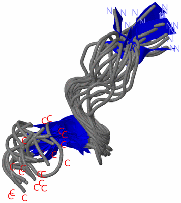 Image NMR Structure - all models