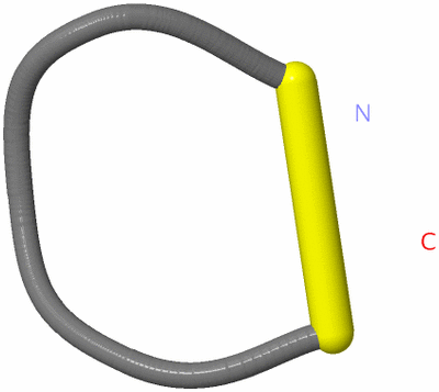 Image NMR Structure - model 1