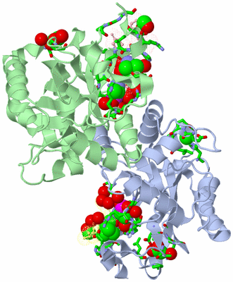 Image Asym./Biol. Unit - sites