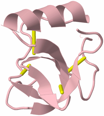 Image Biological Unit 3