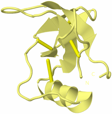 Image Biological Unit 4