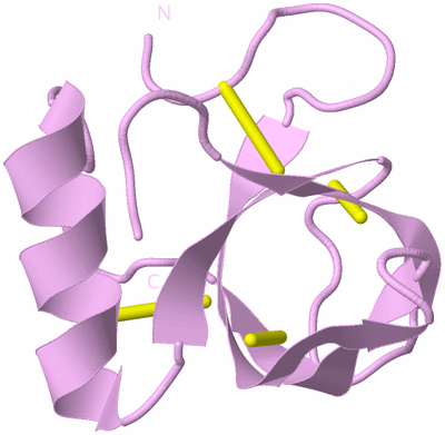 Image Biological Unit 5