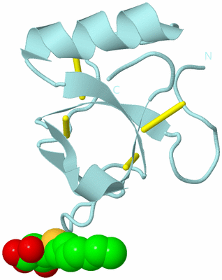 Image Biological Unit 6