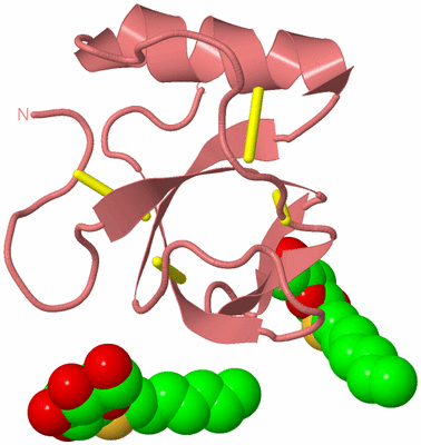 Image Biological Unit 8