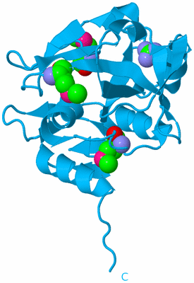 Image Biological Unit 10