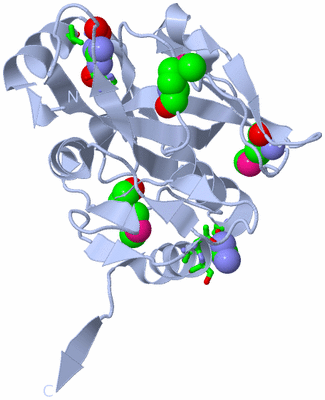 Image Biol. Unit 1 - sites