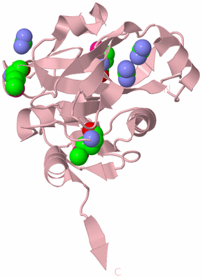 Image Biological Unit 3