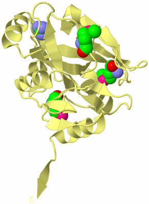 Image Biological Unit 4