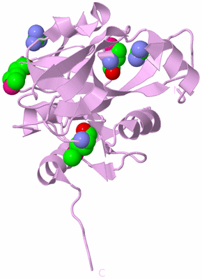 Image Biological Unit 5