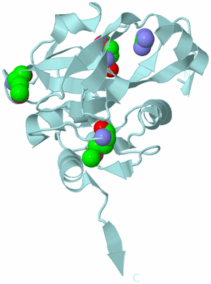 Image Biological Unit 6