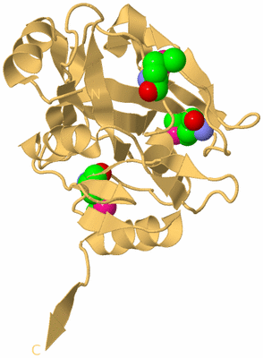 Image Biological Unit 7