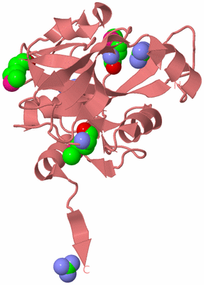 Image Biological Unit 8