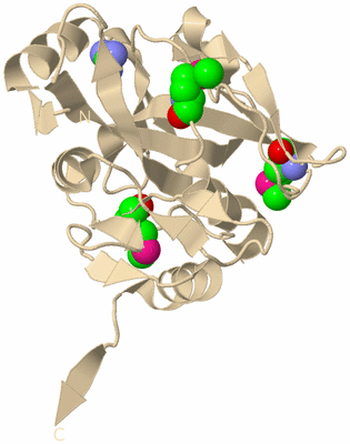 Image Biological Unit 9