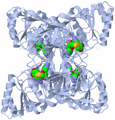 Image Biological Unit 1