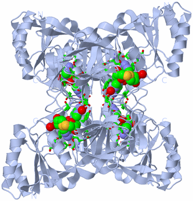 Image Biol. Unit 1 - sites