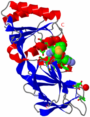 Image Asym. Unit - sites