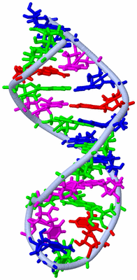 Image NMR Structure - model 1