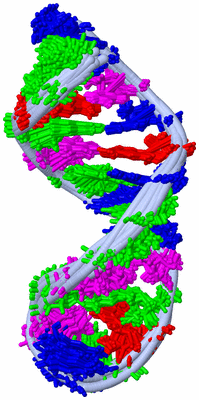 Image NMR Structure - all models