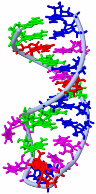 Image NMR Structure - model 1