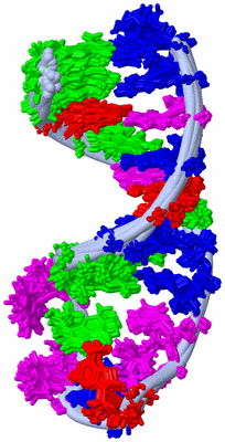 Image NMR Structure - all models