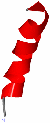 Image NMR Structure - model 1