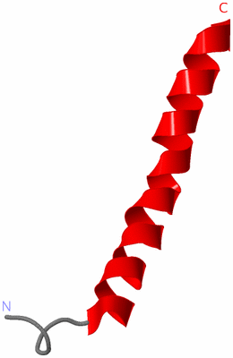 Image NMR Structure - model 1