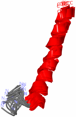 Image NMR Structure - all models