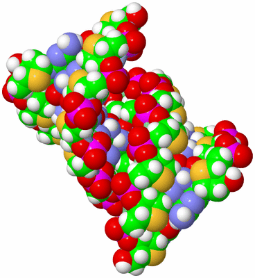 Image NMR Structure - model 1