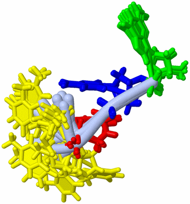 Image NMR Structure - all models