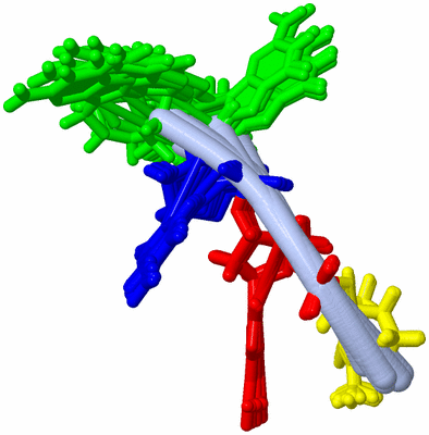 Image NMR Structure - all models