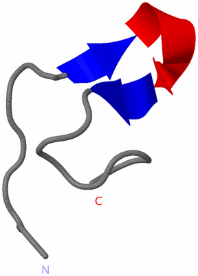 Image NMR Structure - model 1