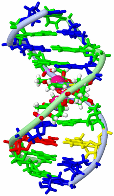 Image NMR Structure - model 1, sites