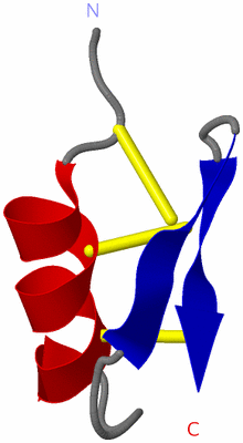 Image NMR Structure - model 1