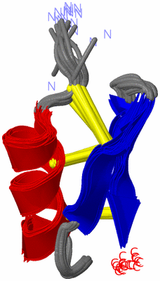 Image NMR Structure - all models