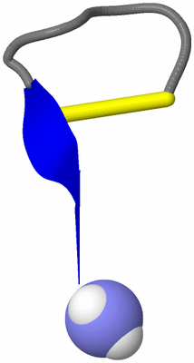 Image NMR Structure - model 1