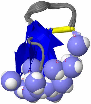 Image NMR Structure - all models