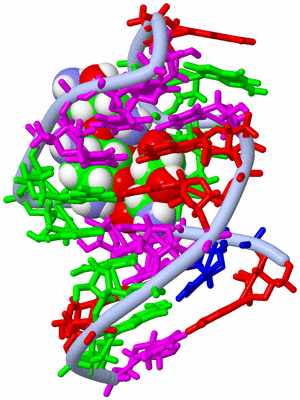 Image NMR Structure - model 1