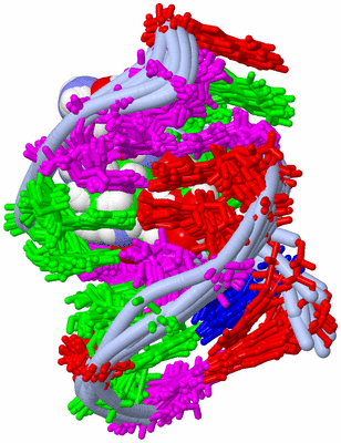 Image NMR Structure - all models