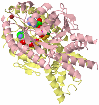 Image Biological Unit 1