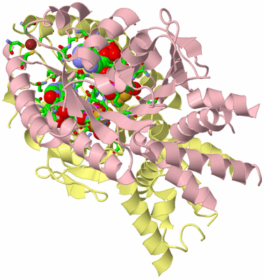 Image Biol. Unit 1 - sites