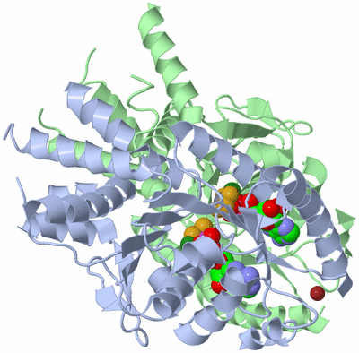 Image Biological Unit 2