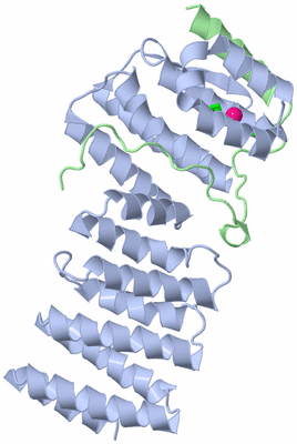 Image Biol. Unit 1 - sites