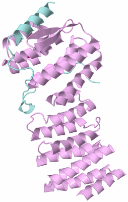 Image Biological Unit 3