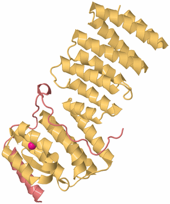 Image Biological Unit 4