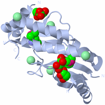 Image Biological Unit 1