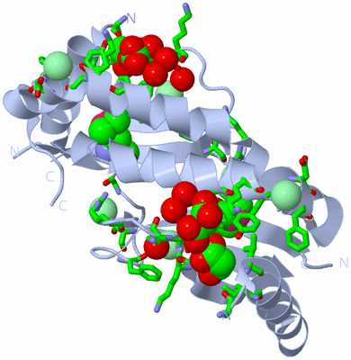 Image Biol. Unit 1 - sites